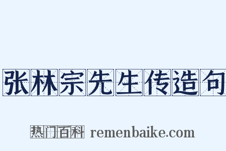 张林宗先生传造句是什么意思的图片